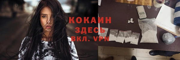 индика Алексеевка