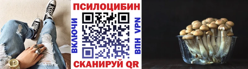 Галлюциногенные грибы MAGIC MUSHROOMS  Дедовск 