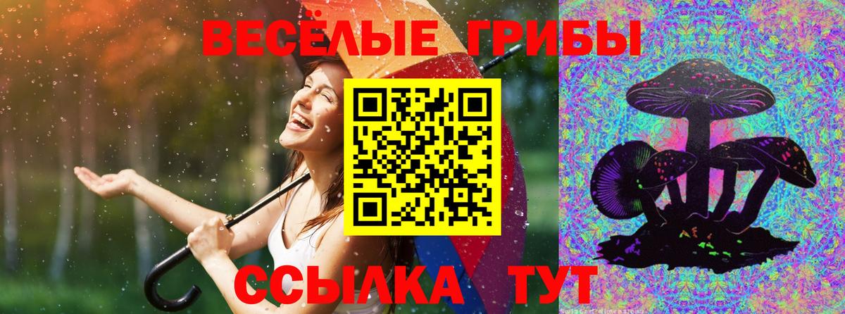 Дедовск  где продают наркотики  Вход с VPN  Псилоцибиновые грибы мухоморы 
